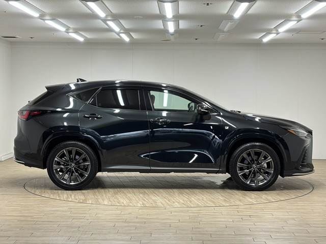 2023 Lexus NX — миниатюра 18