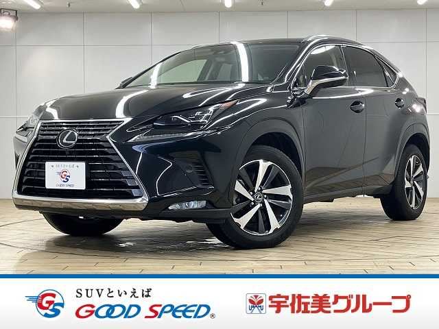 2019 Lexus NX — фото 1