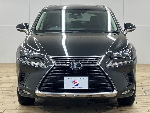 2019 Lexus NX — миниатюра 15