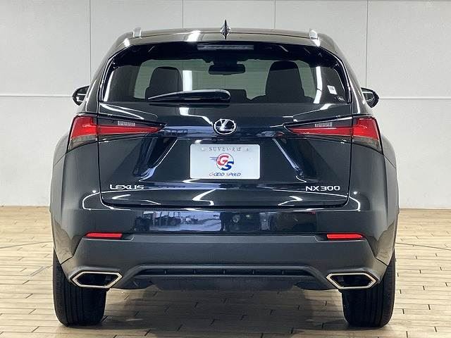 2019 Lexus NX — миниатюра 16