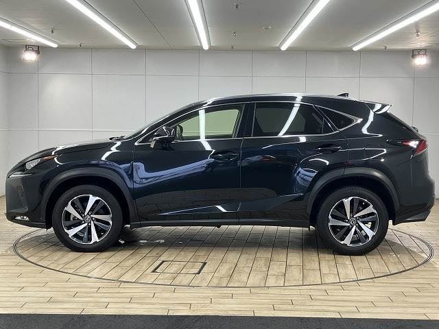 2019 Lexus NX — миниатюра 17