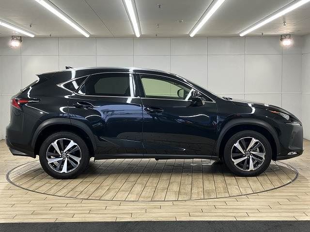 2019 Lexus NX — миниатюра 18