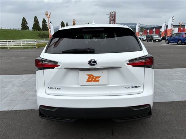 2017 Lexus NX — миниатюра 14