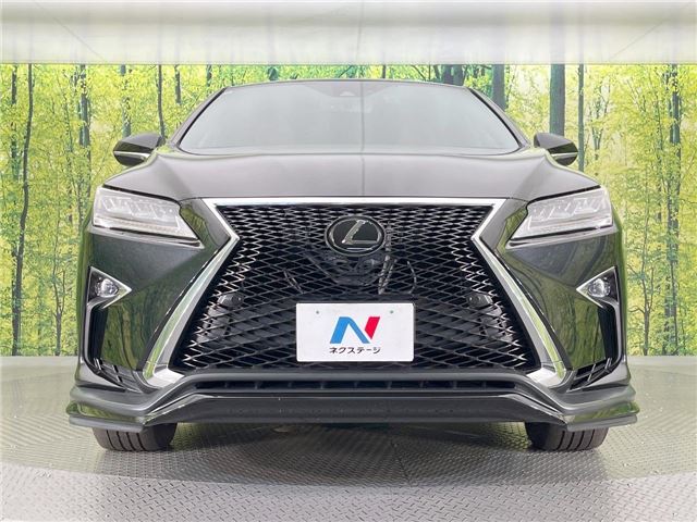 صورة مصغرة 17 لـ 2017 Lexus RX
