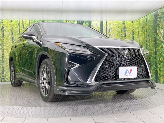 صورة مصغرة 18 لـ 2017 Lexus RX