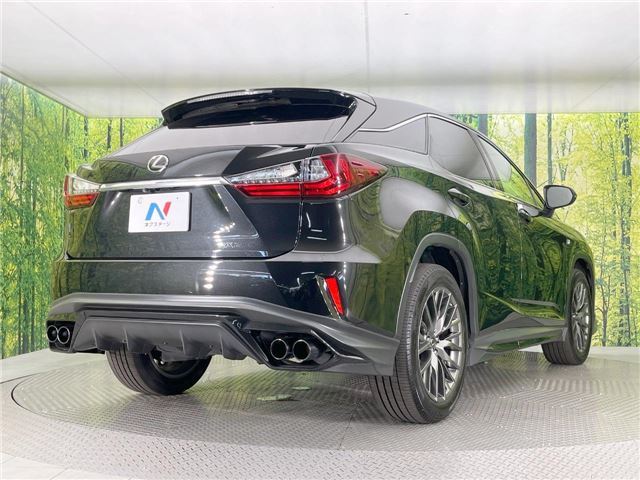 صورة مصغرة 20 لـ 2017 Lexus RX