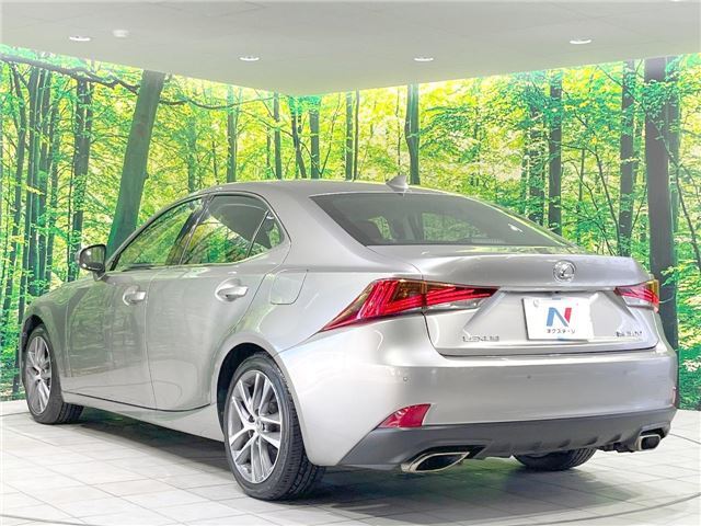 2017 Lexus IS photo 10