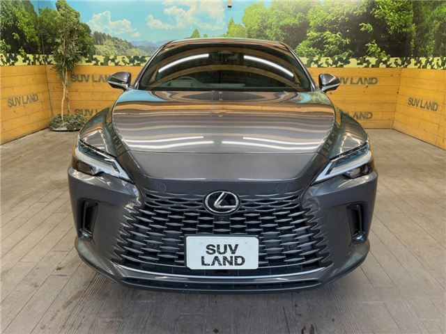 صورة مصغرة 21 لـ 2024 Lexus RX