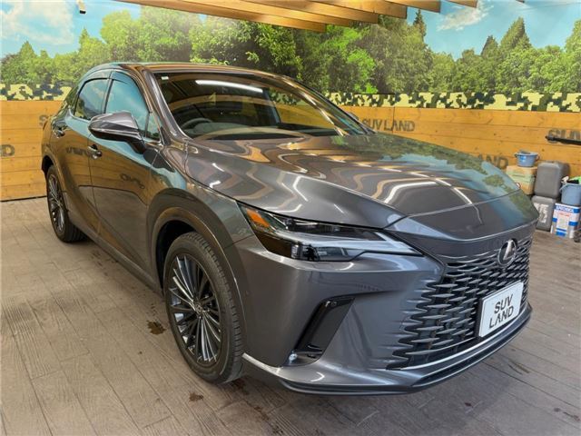 صورة مصغرة 22 لـ 2024 Lexus RX