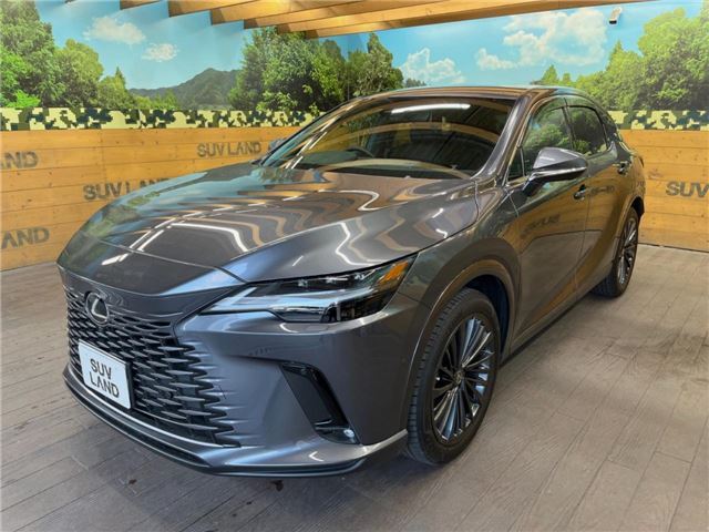 صورة مصغرة 23 لـ 2024 Lexus RX