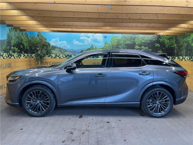 صورة مصغرة 24 لـ 2024 Lexus RX