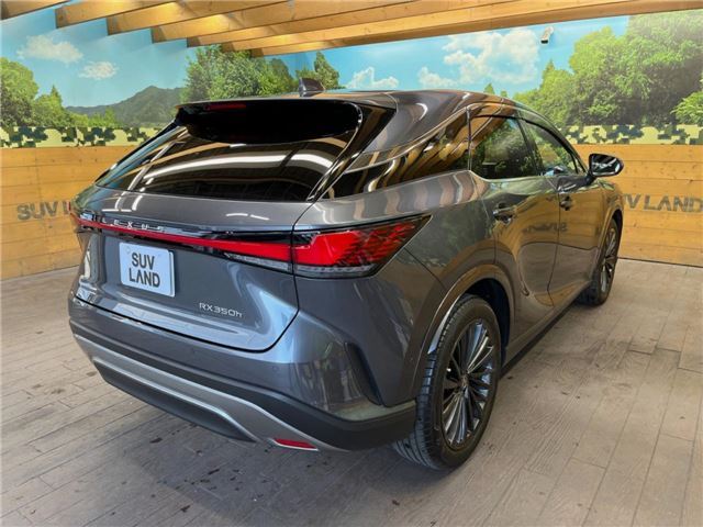 صورة مصغرة 29 لـ 2024 Lexus RX