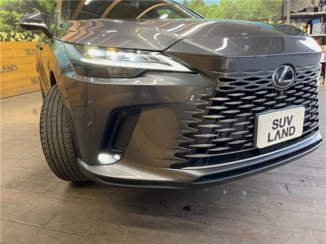 صورة 6 لـ 2024 Lexus RX
