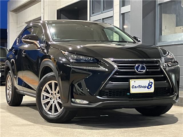 2014 Lexus NX — фото 1