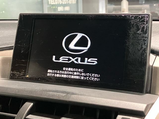 2014 Lexus NX — фото 10
