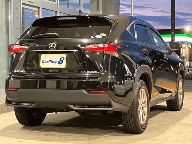 2014 Lexus NX — фото 6