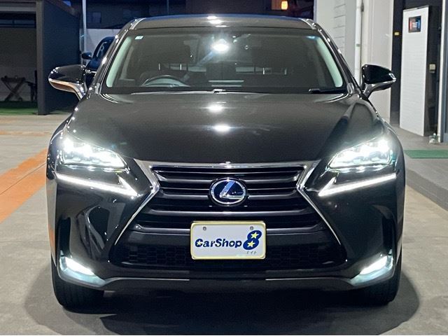 2014 Lexus NX — фото 4