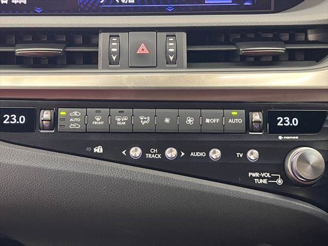2020 Lexus ES thumbnail 33