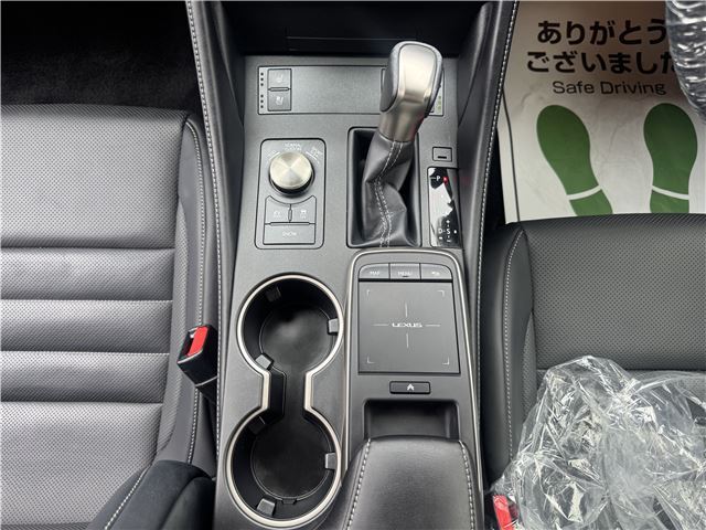 2019 Lexus RC thumbnail 52