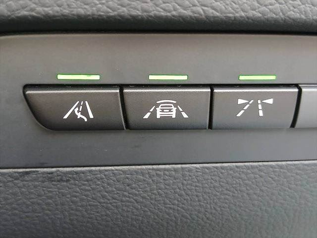 صورة مصغرة 39 لـ 2016 BMW 3 SERIES TOURING