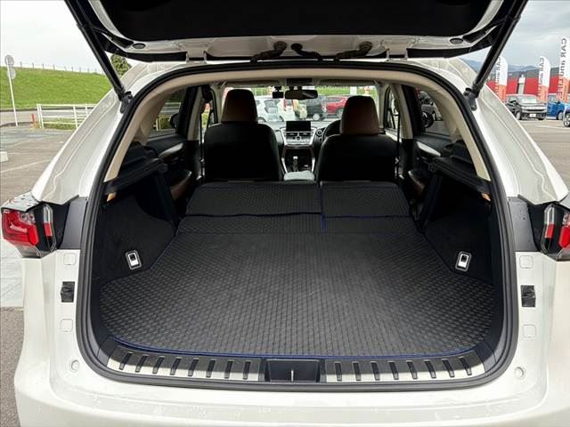 2014 Lexus NX 缩略图 21