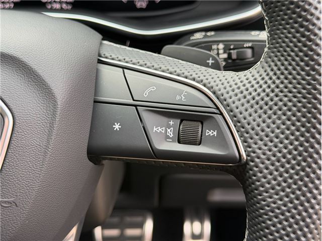 2024 AUDI SQ8 缩略图 40