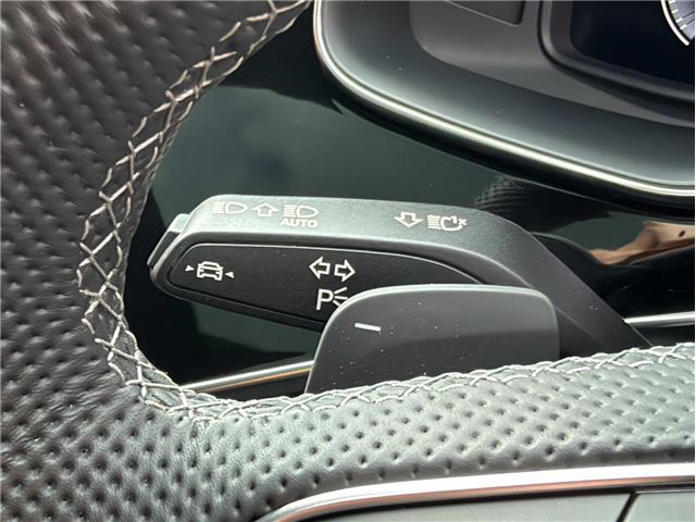 2024 AUDI SQ8 缩略图 43