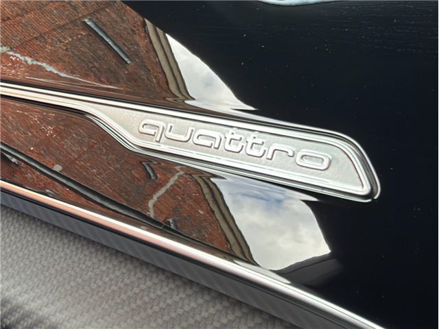 2024 AUDI SQ8 缩略图 61