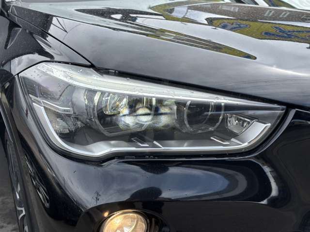 2017 BMW X1 — миниатюра 30