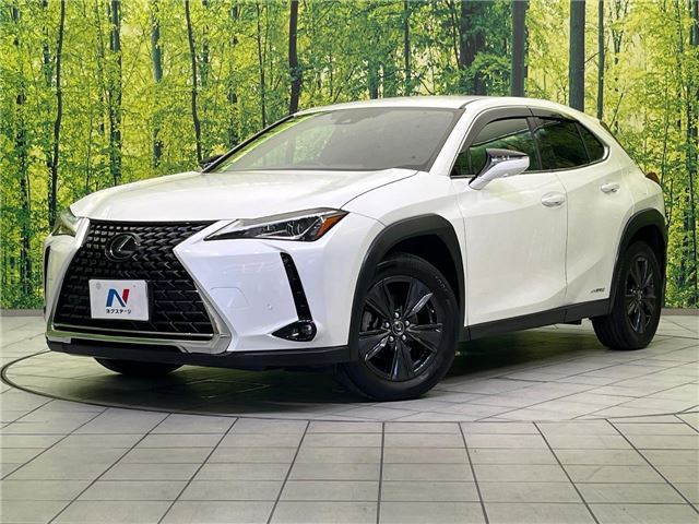 2020 Lexus UX photo 1