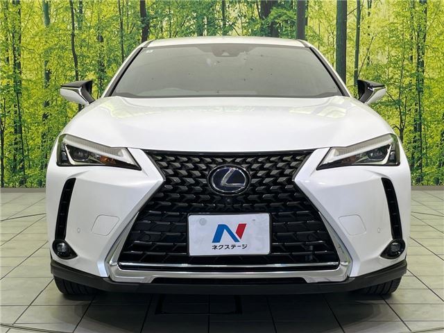 2020 Lexus UX thumbnail 17