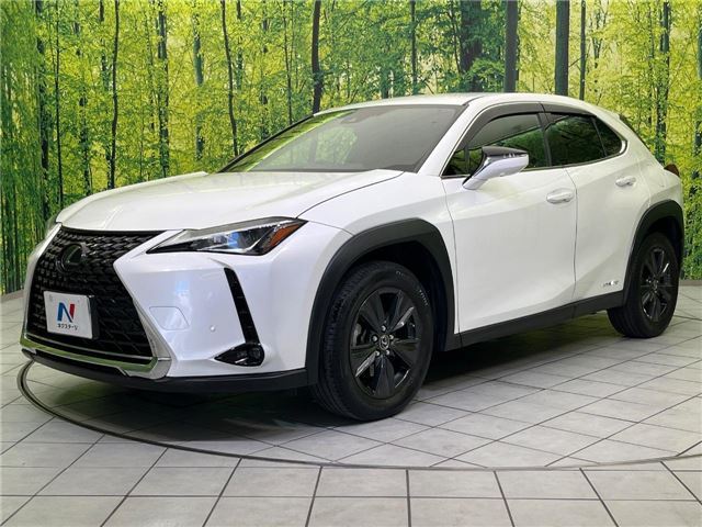 2020 Lexus UX thumbnail 18