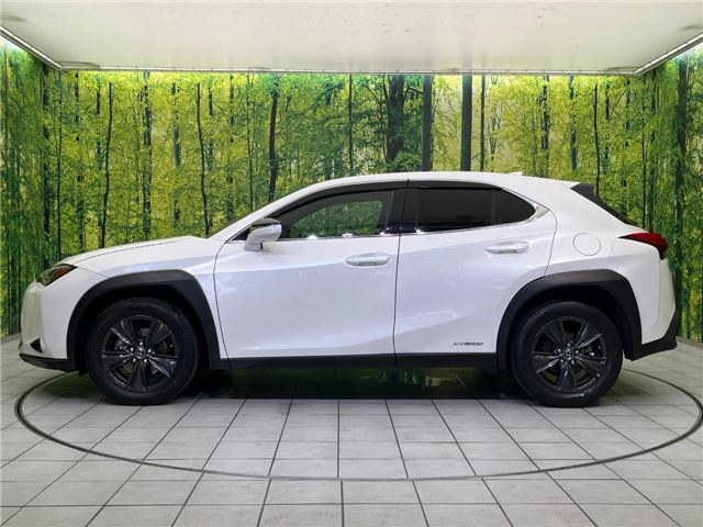 2020 Lexus UX thumbnail 19