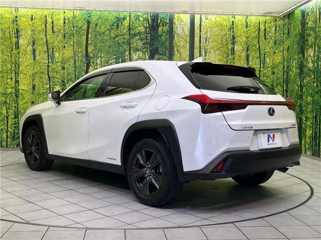 2020 Lexus UX thumbnail 20