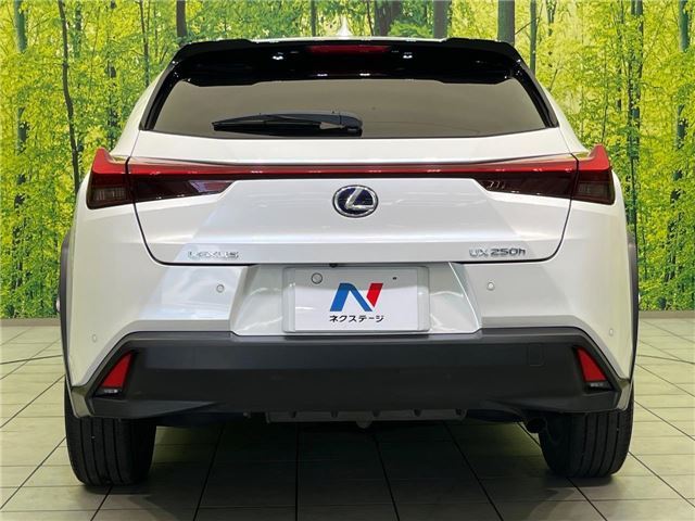 2020 Lexus UX thumbnail 21