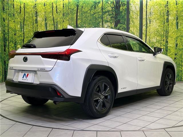 2020 Lexus UX thumbnail 22