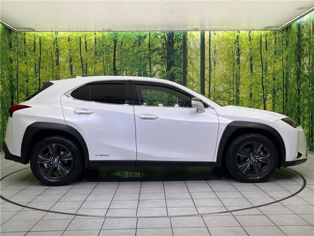 2020 Lexus UX thumbnail 23