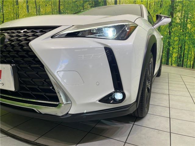 2020 Lexus UX thumbnail 27