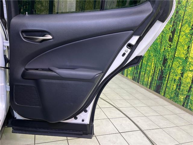 2020 Lexus UX photo 9