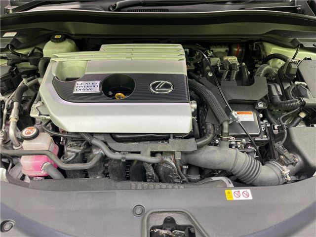 2020 Lexus UX photo 5