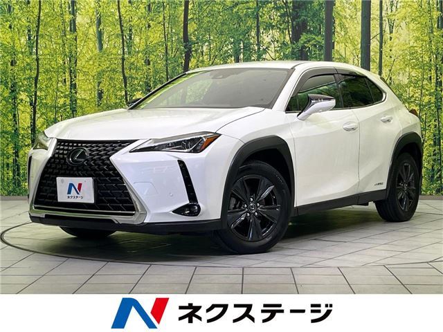 2020 Lexus UX photo 4