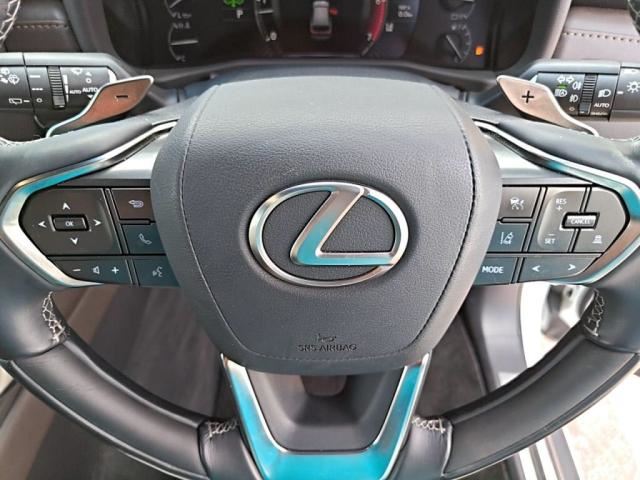 صورة مصغرة 17 لـ 2023 Lexus LX