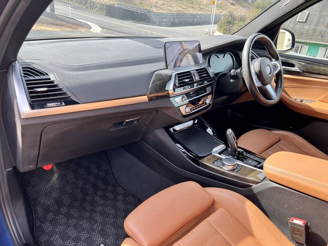 2017 BMW X3 — миниатюра 19