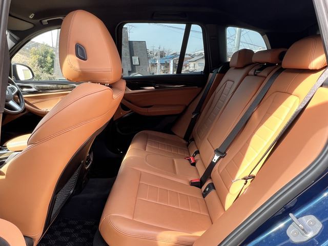 2017 BMW X3 — миниатюра 26