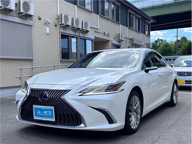 2019 Lexus ES photo 1