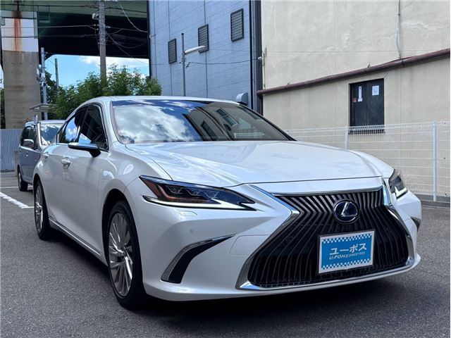 2019 Lexus ES thumbnail 22