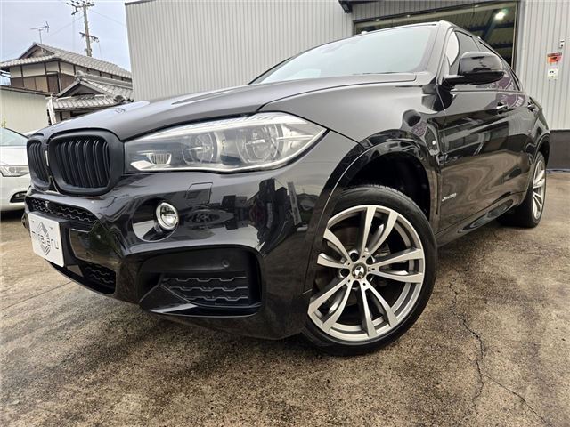 2015 BMW X6 — миниатюра 37