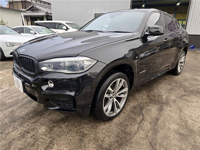 2015 BMW X6 — миниатюра 39