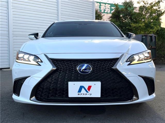 2019 Lexus ES thumbnail 14