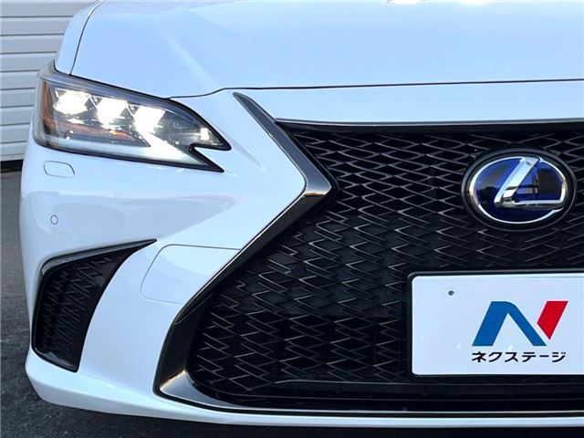 2019 Lexus ES thumbnail 16